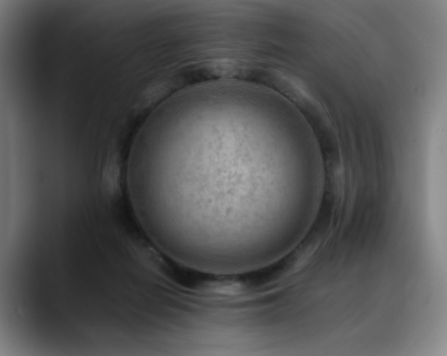 X0000090430266200707131206