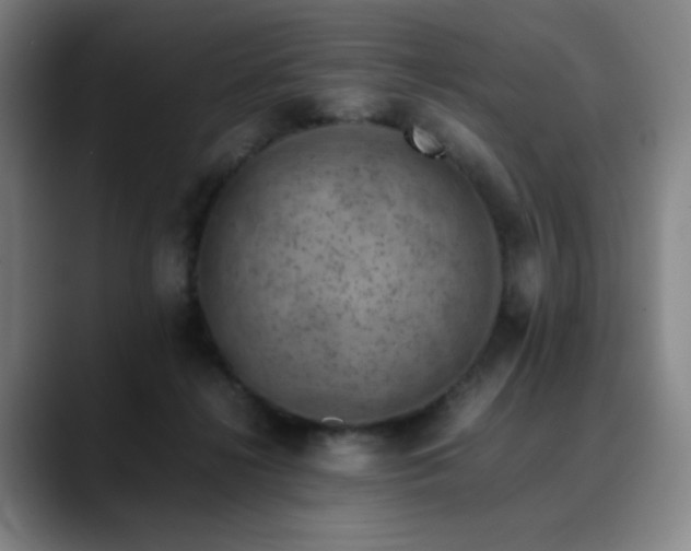 X0000090430268200707131206