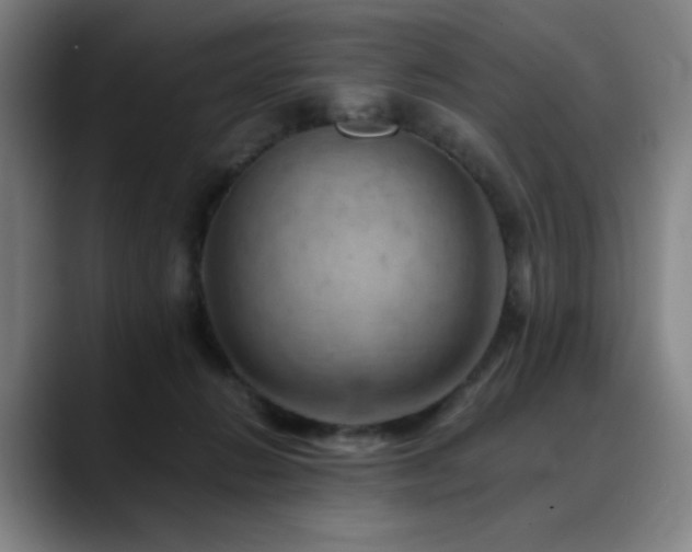 X0000090430270200707131207