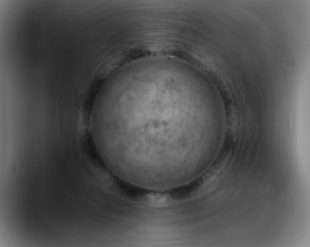 X0000090430272200707131207