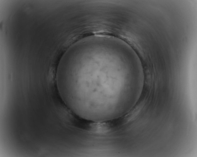 X0000090430273200707131207