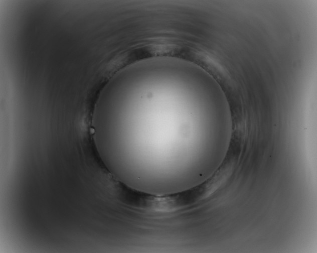 X0000090430277200707131207