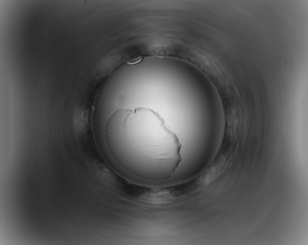 X0000090430278200707131207
