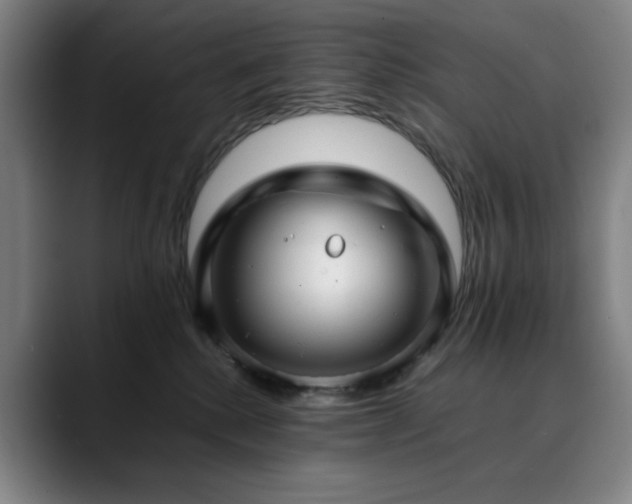 X0000090430280200707131207