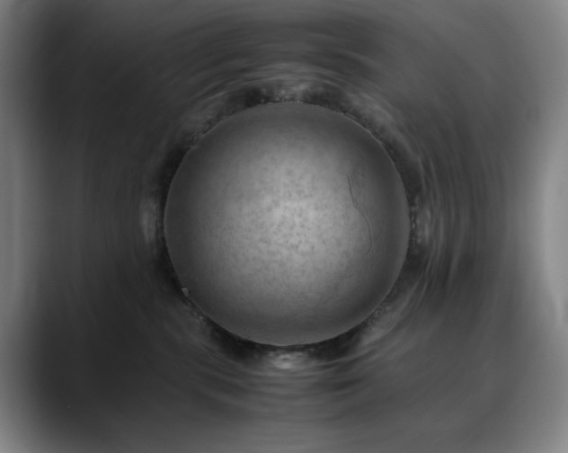 X0000090430283200707131207
