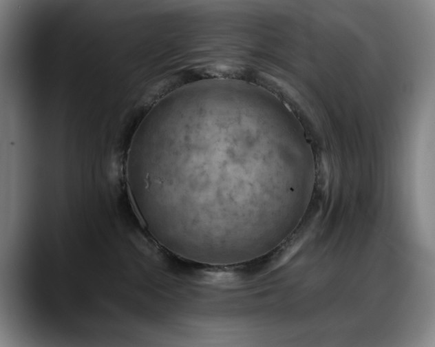 X0000090430284200707131207