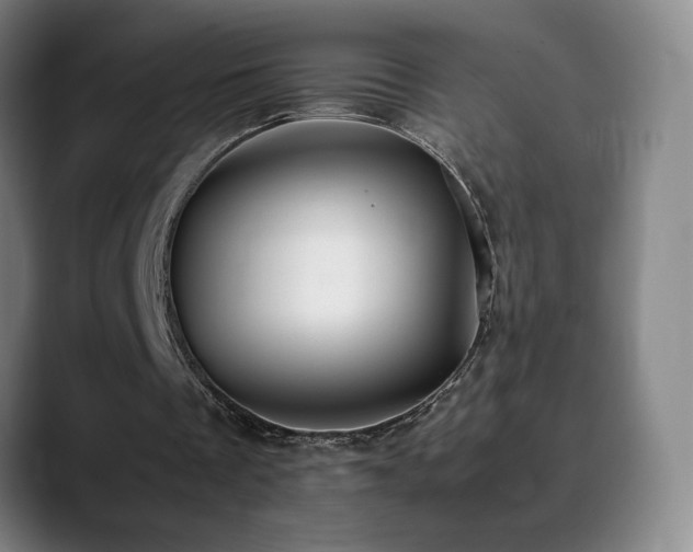 X0000090430289200707131206