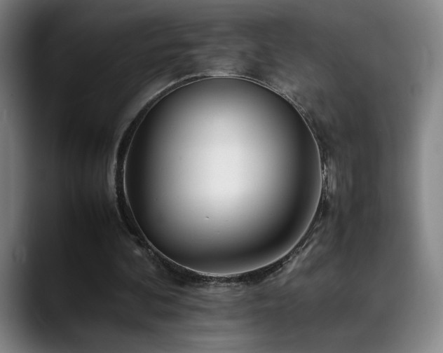 X0000090430292200707131206