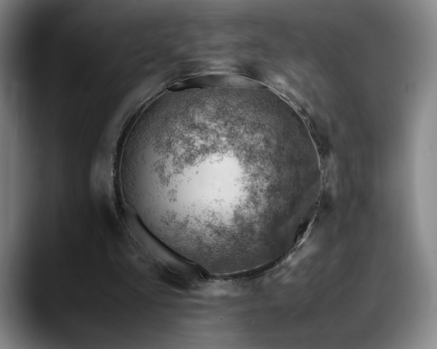 X0000090430293200707131206