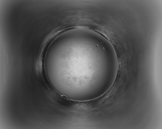 X0000090430294200707131206