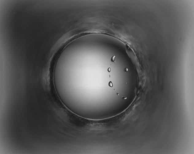 X0000090430296200707131206