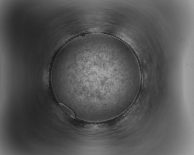 X0000090430297200707131206