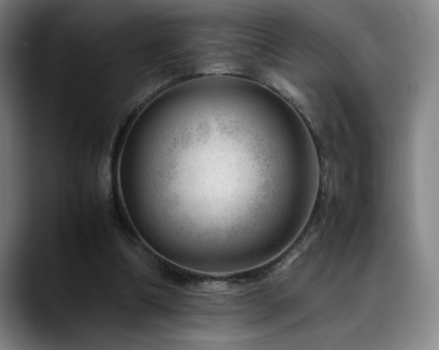 X0000090430298200707131206