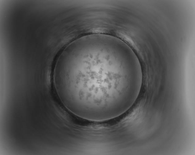 X0000090430299200707131206