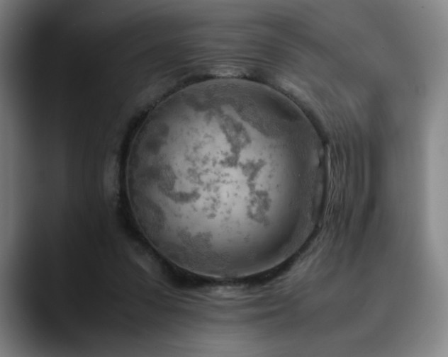X0000090430303200707131206