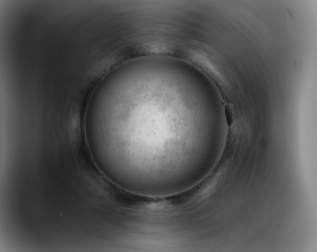 X0000090430306200707131206