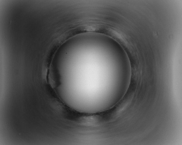 X0000090430307200707131206