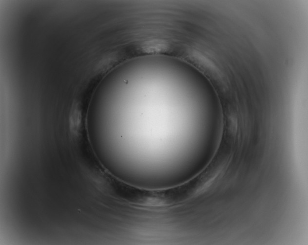 X0000090430308200707131206