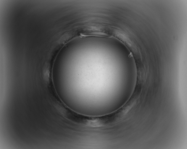 X0000090430309200707131206
