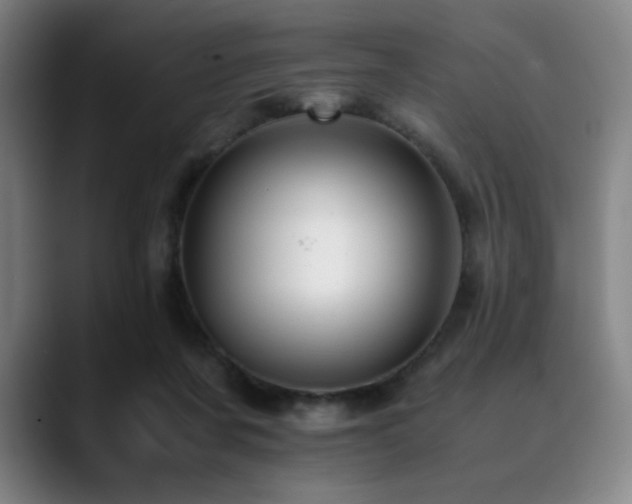 X0000090430311200707131206