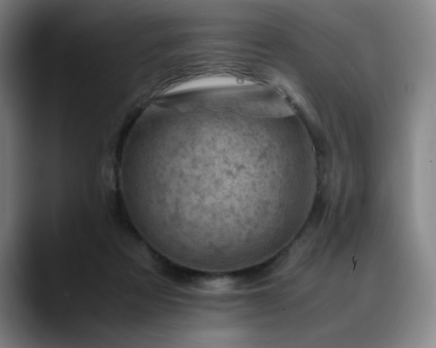 X0000090430313200707131206