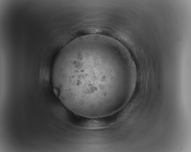 X0000090430315200707131206