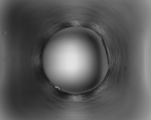 X0000090430317200707131206