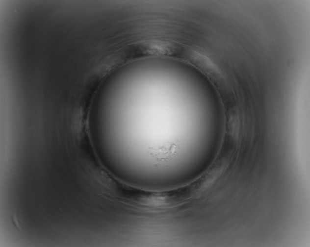 X0000090430318200707131206