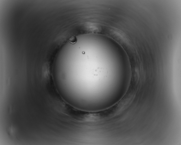 X0000090430320200707131206