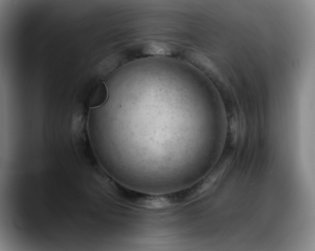 X0000090430322200707131206