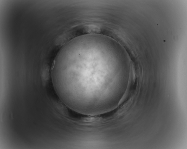 X0000090430323200707131206