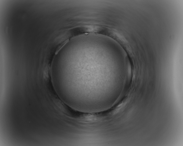 X0000090430325200707131206