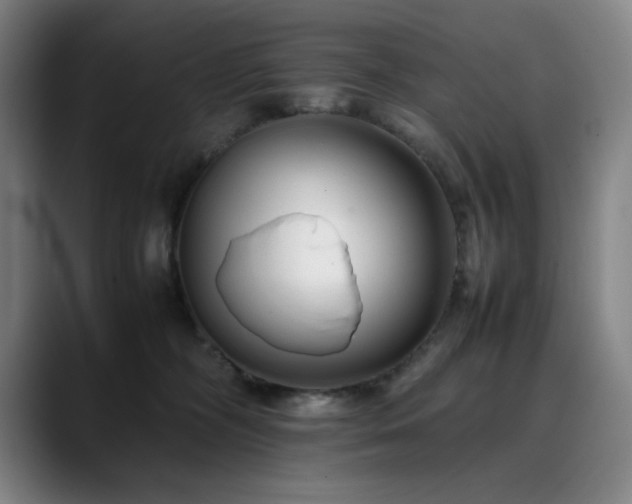 X0000090430326200707131206