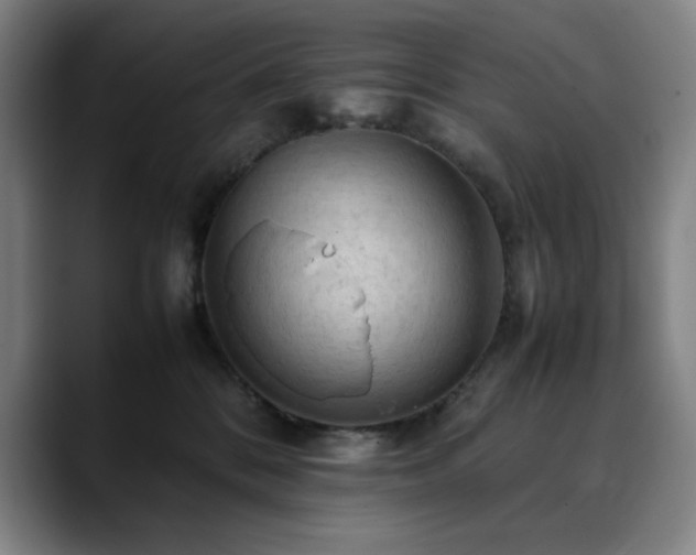 X0000090430328200707131206
