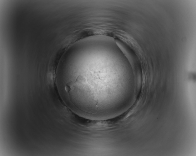 X0000090430329200707131206