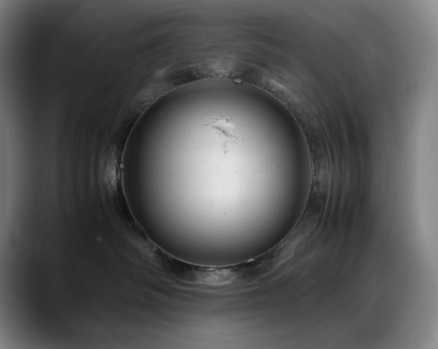 X0000090430334200707131206