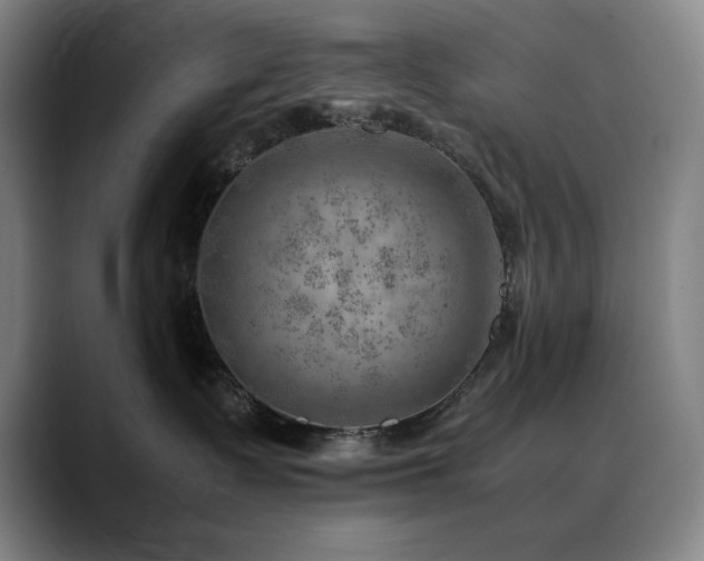 X0000090430335200707131206