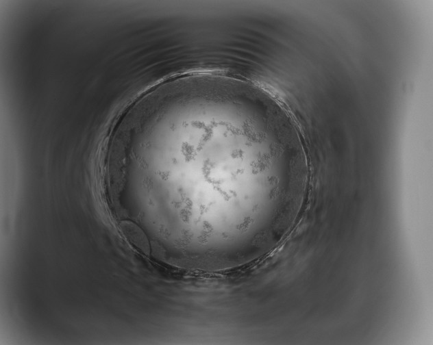 X0000090430337200707131205