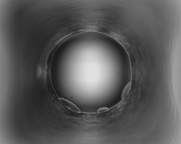 X0000090430338200707131205