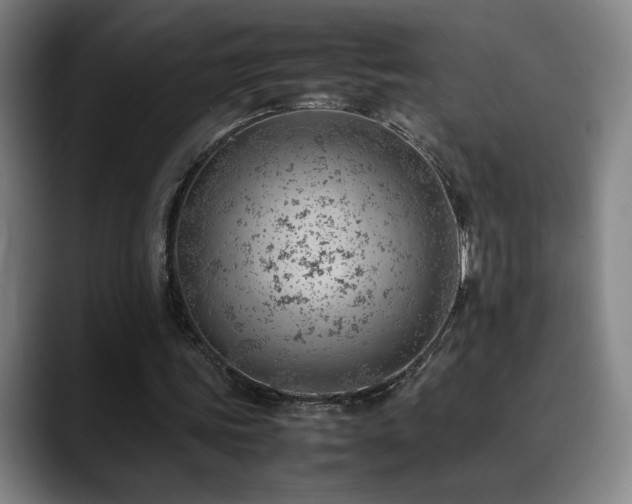 X0000090430339200707131205