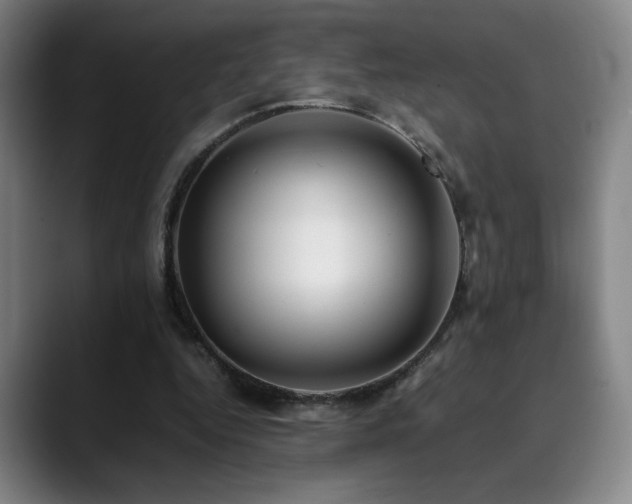 X0000090430344200707131205