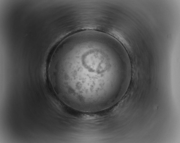 X0000090430346200707131205