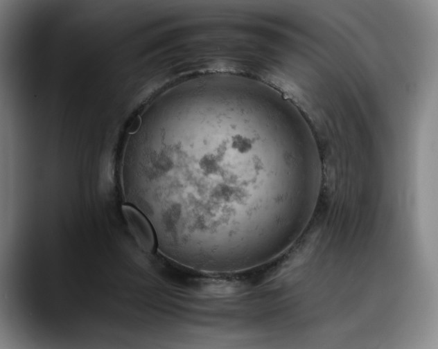 X0000090430347200707131205