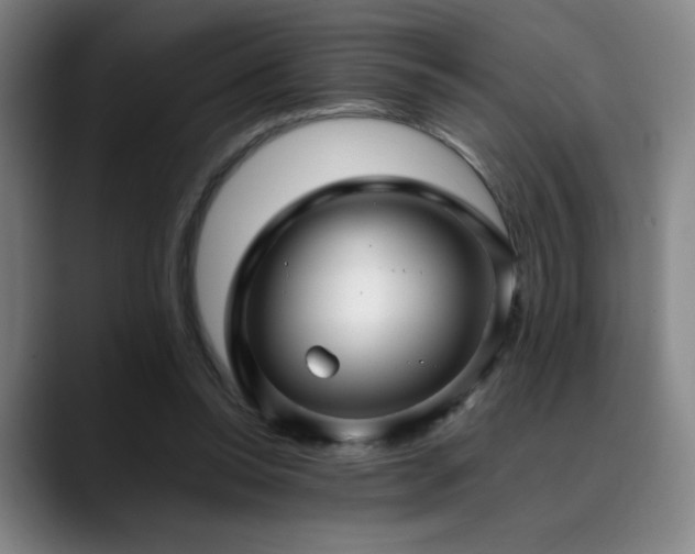 X0000090430350200707131205