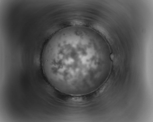 X0000090430353200707131205