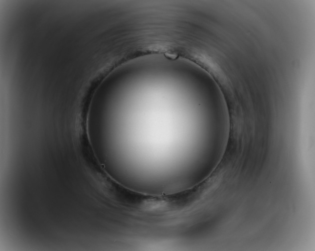 X0000090430354200707131205