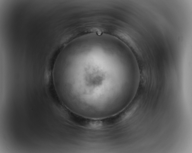 X0000090430355200707131205