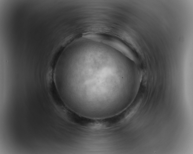 X0000090430356200707131205