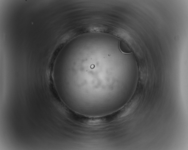 X0000090430357200707131205