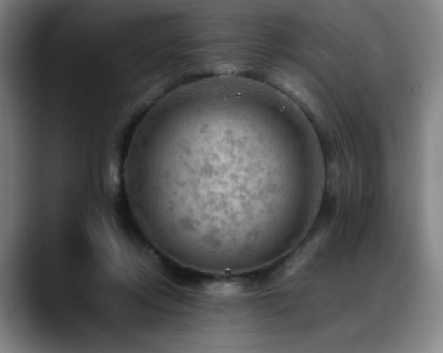X0000090430358200707131205
